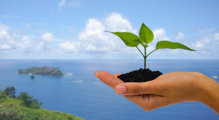 水質浄化関連事業／食品日持ち向上剤販売事業